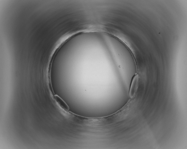 X0000114441485200910231308