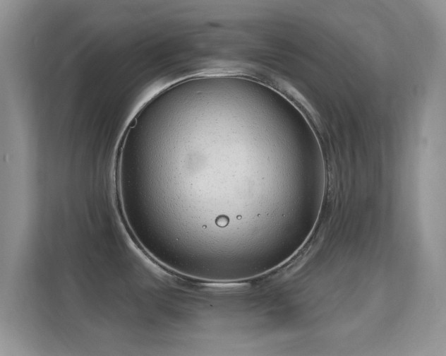 X0000114441487200910231308