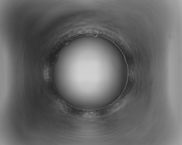 X0000114441490200910231307