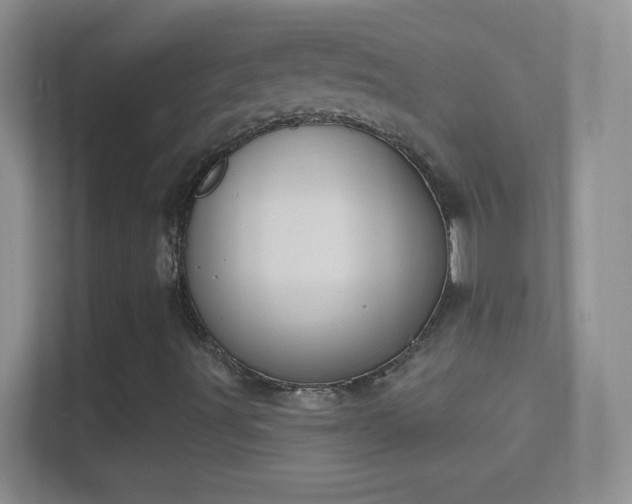 X0000114441491200910231307