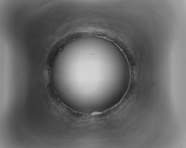 X0000114441493200910231307
