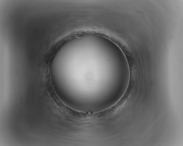 X0000114441494200910231307