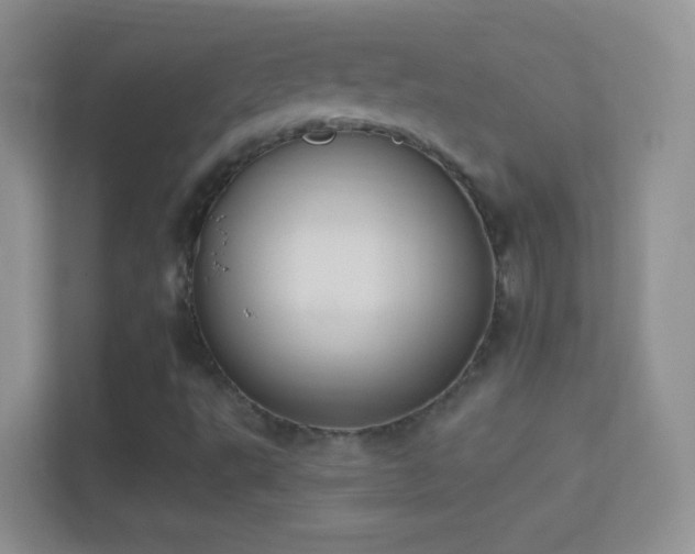 X0000114441495200910231308