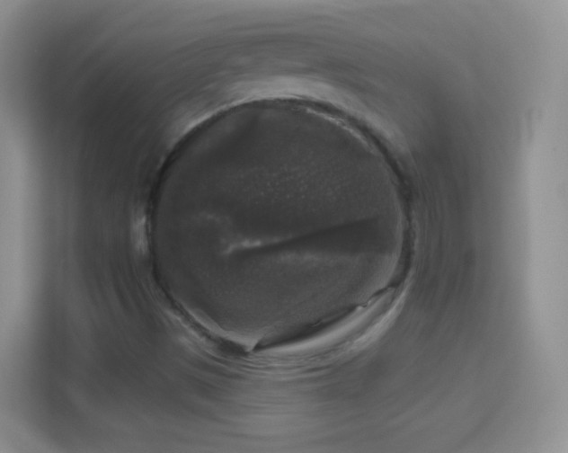 X0000114441497200910231308
