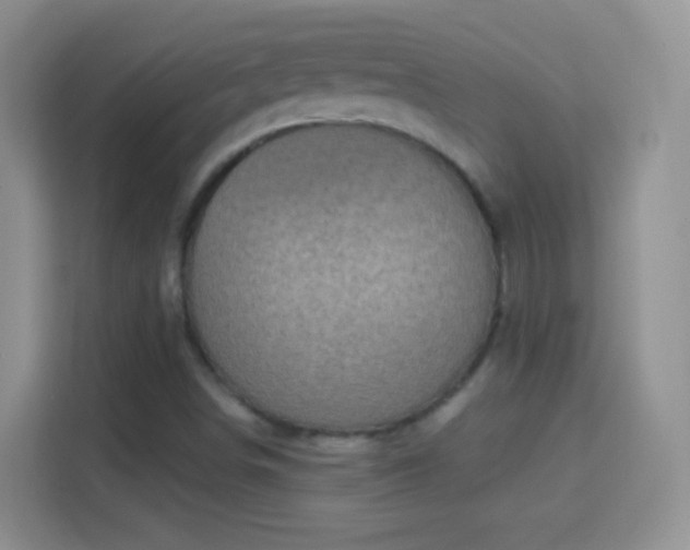 X0000114441498200910231308