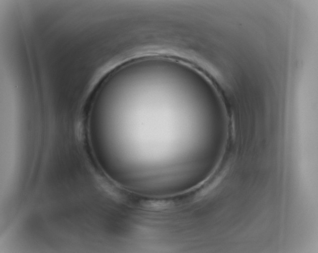 X0000114441501200910231308