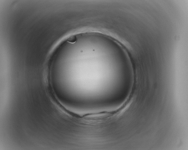 X0000114441502200910231308