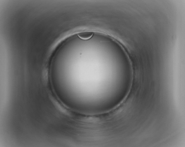 X0000114441503200910231308