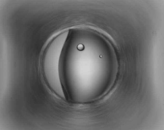 X0000114441506200910231308