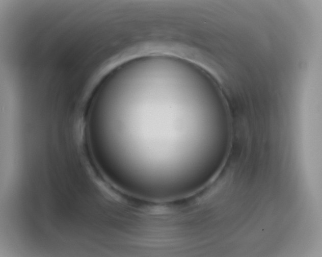 X0000114441507200910231308