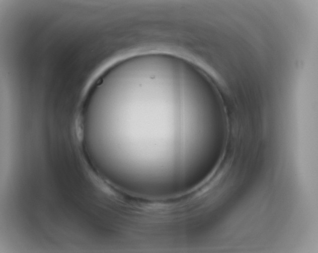 X0000114441510200910231308