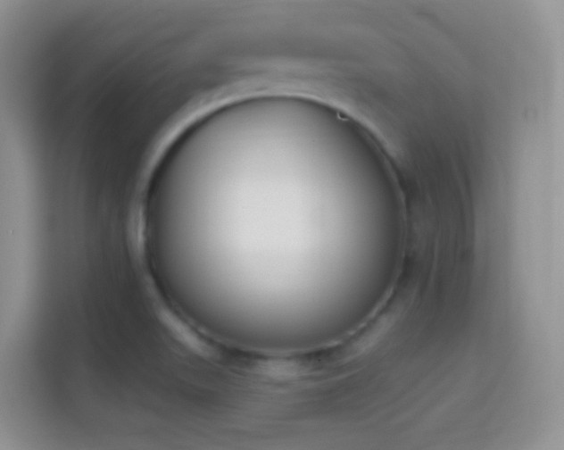 X0000114441511200910231308