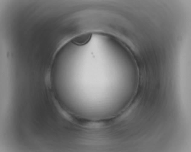 X0000114441513200910231308