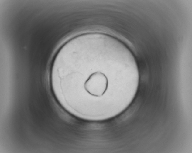 X0000114441514200910231308