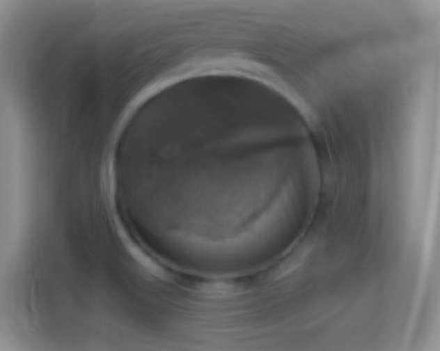 X0000114441515200910231308