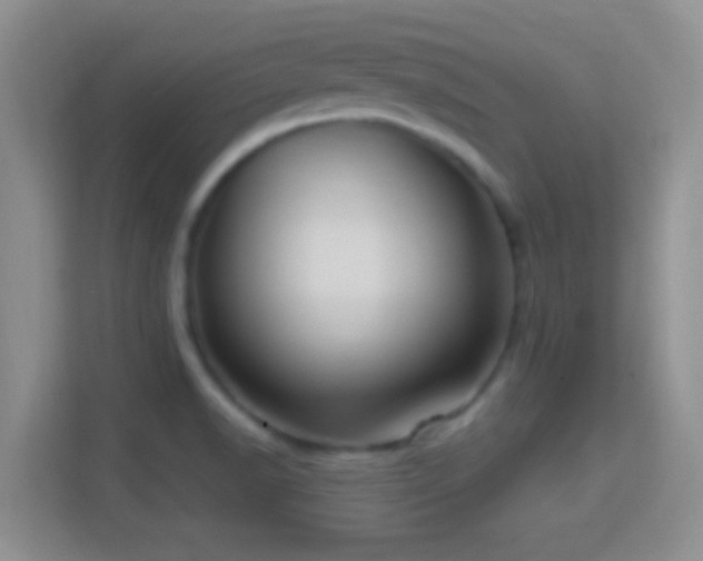 X0000114441518200910231308