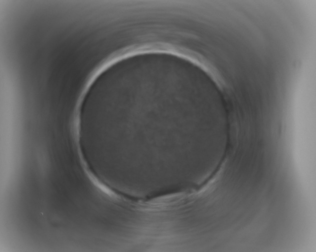 X0000114441519200910231308