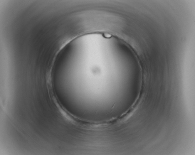 X0000114441521200910231308