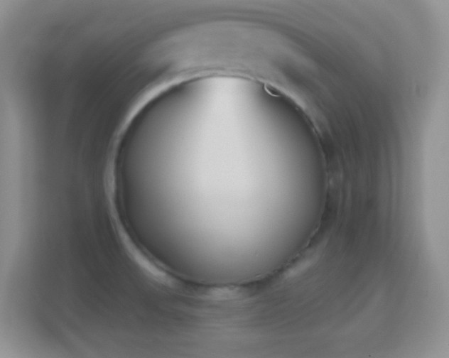 X0000114441523200910231308