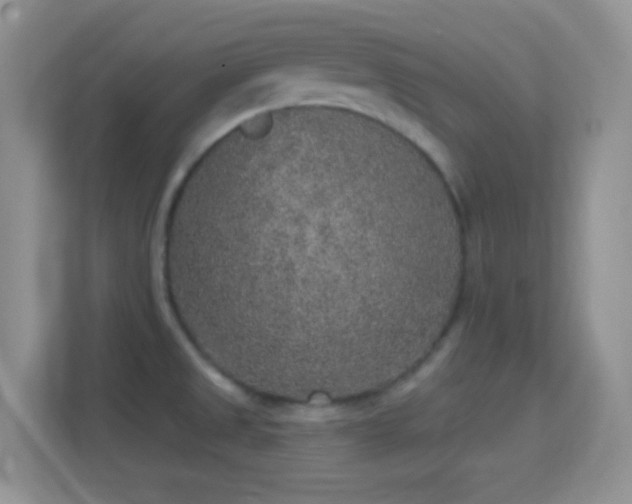 X0000114441525200910231308
