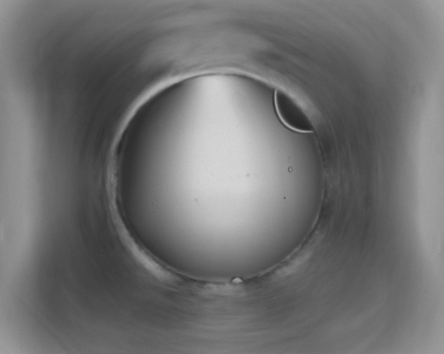 X0000114441526200910231308