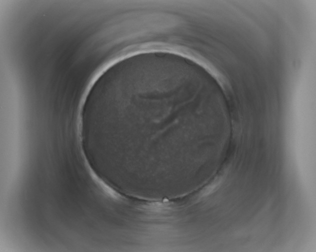 X0000114441527200910231308
