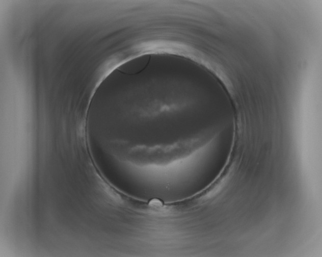 X0000114441529200910231308
