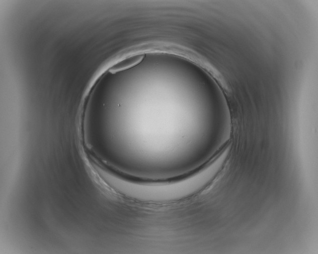 X0000114441530200910231308