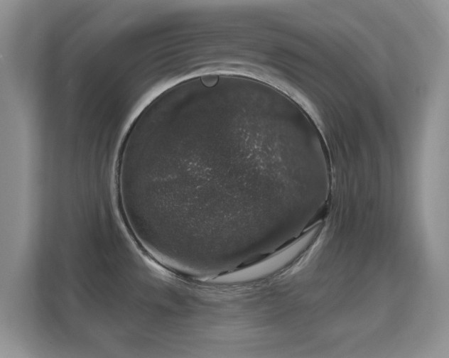 X0000114441533200910231308