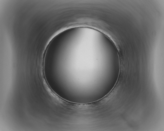 X0000114441534200910231308