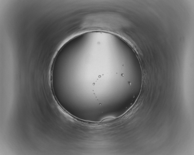 X0000114441535200910231308