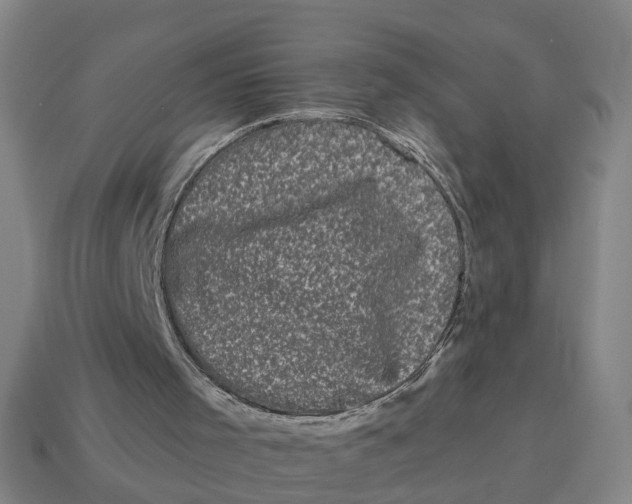 X0000114440001200911061713