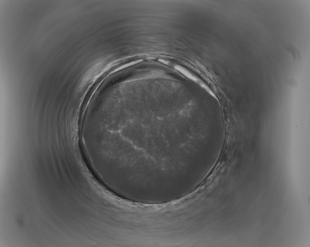 X0000114440002200911061713