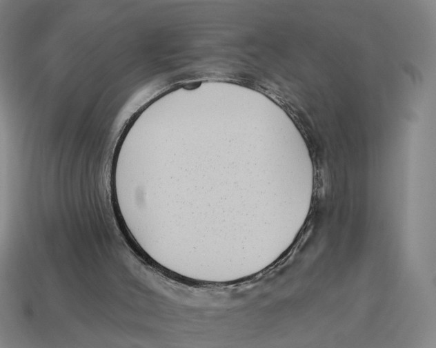 X0000114440004200911061713