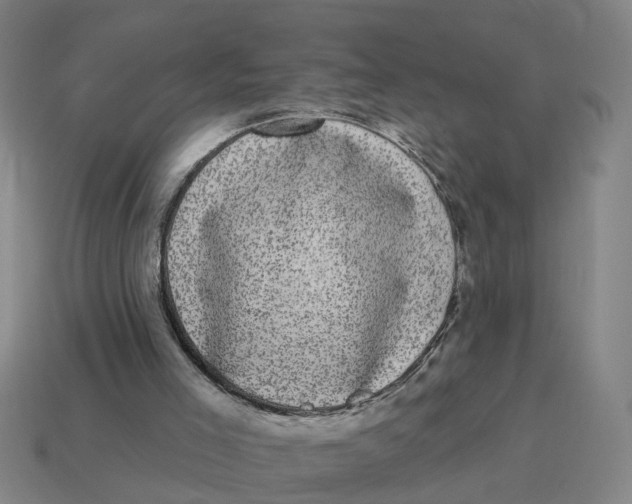 X0000114440005200911061713