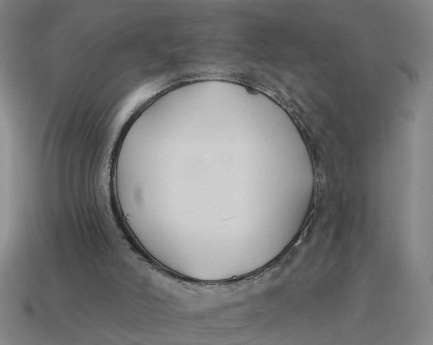 X0000114440006200911061713