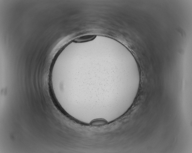 X0000114440007200911061713