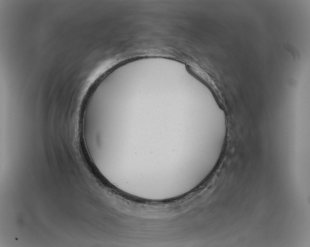 X0000114440008200911061713