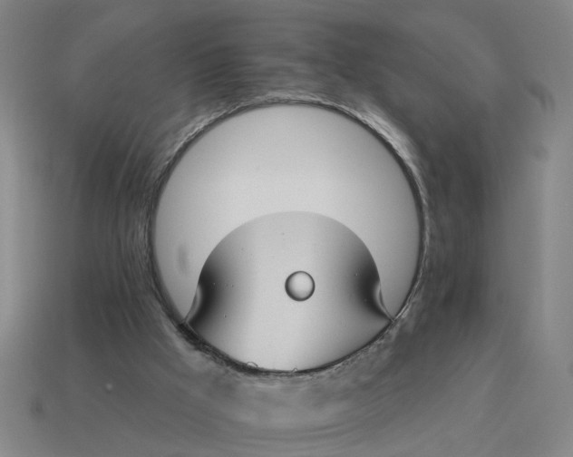 X0000114440009200911061713