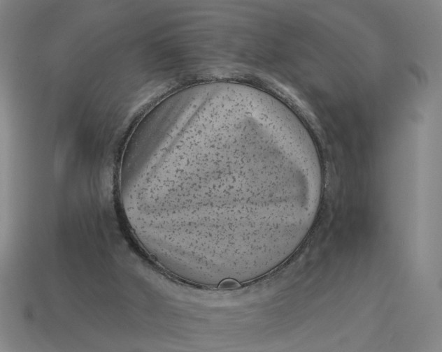 X0000114440010200911061713