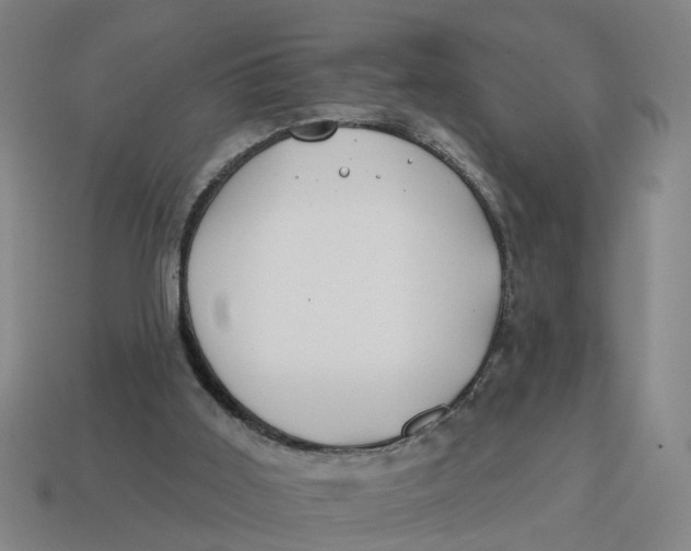 X0000114440011200911061713