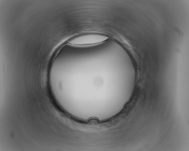 X0000114440012200911061713