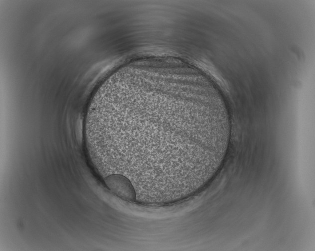 X0000114440014200911061713