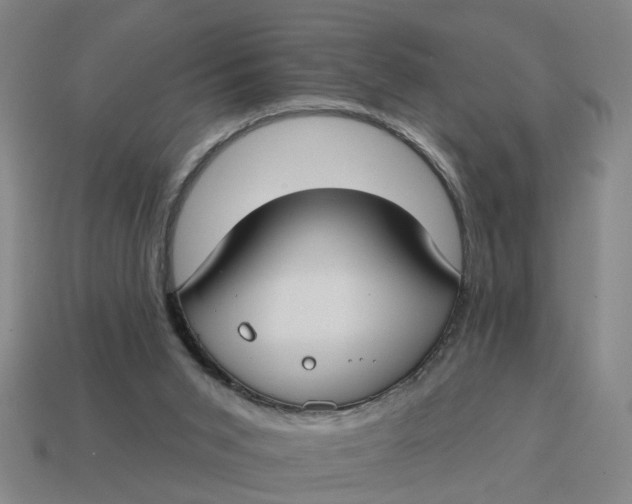 X0000114440015200911061713