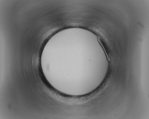 X0000114440016200911061713