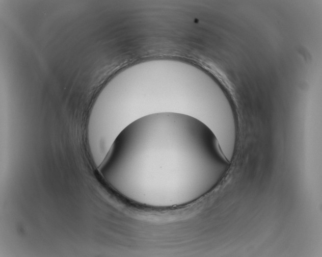 X0000114440017200911061713