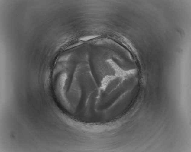 X0000114440018200911061713