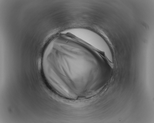 X0000114440019200911061713