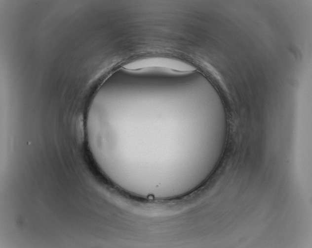 X0000114440020200911061713