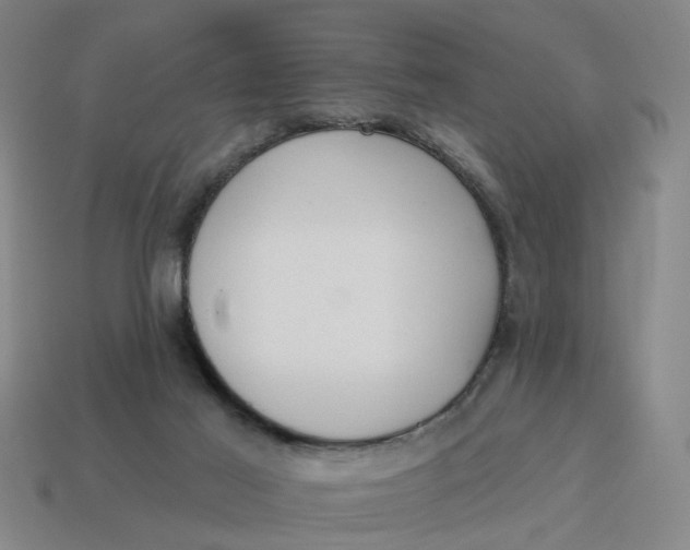 X0000114440021200911061713